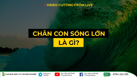 CHÂN CON SÓNG LỚN LÀ GÌ? - LIVE NỘI BỘ T4/2023
